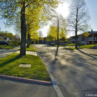 Morning in Toronto Pleasantview Neighborhood Morning in Toronto Pleasantview Neighborhood