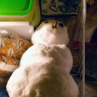 Snowman in freezer
