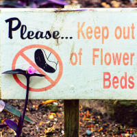 Please keep out of flowers beds sign (Queen Elizabeth park, Vancouver. BC)