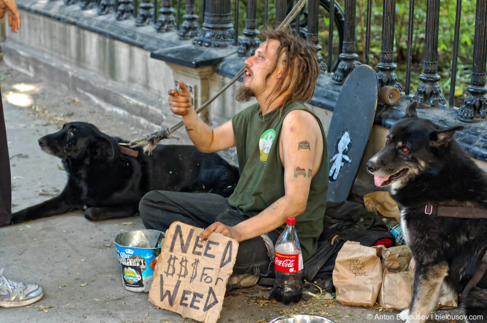 Need $$$ for Weed begger on Queen St. West (Toronto)