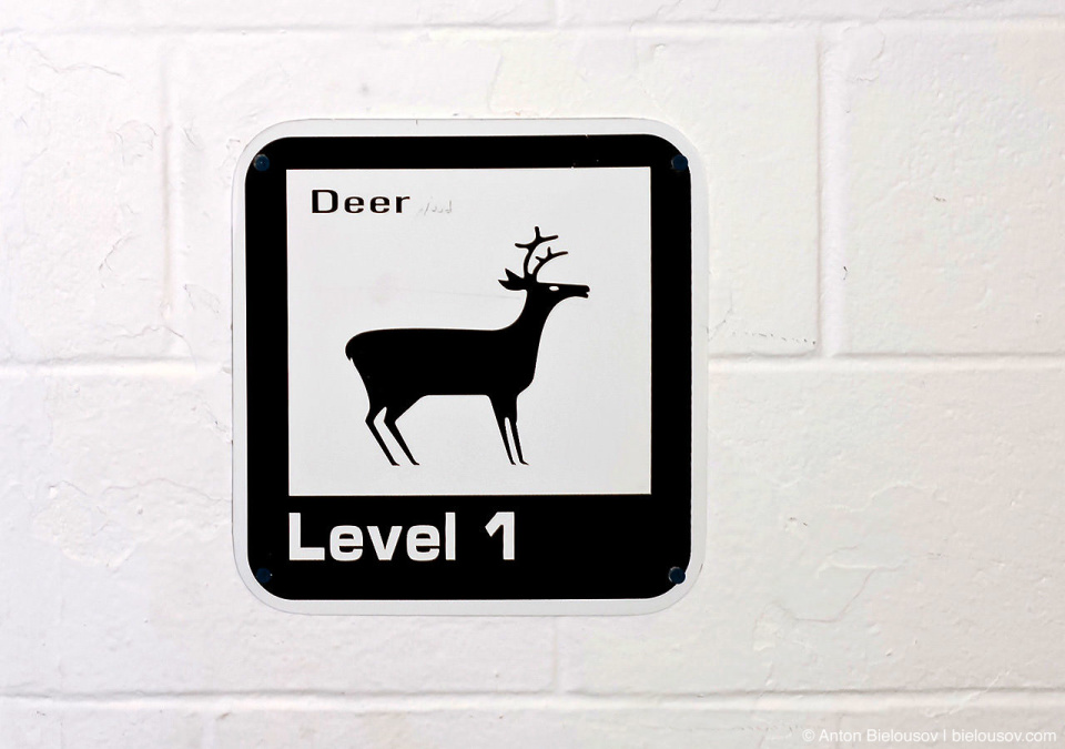 Deer Level 1 sign at Toronto Nathan Phillips Square underground parking