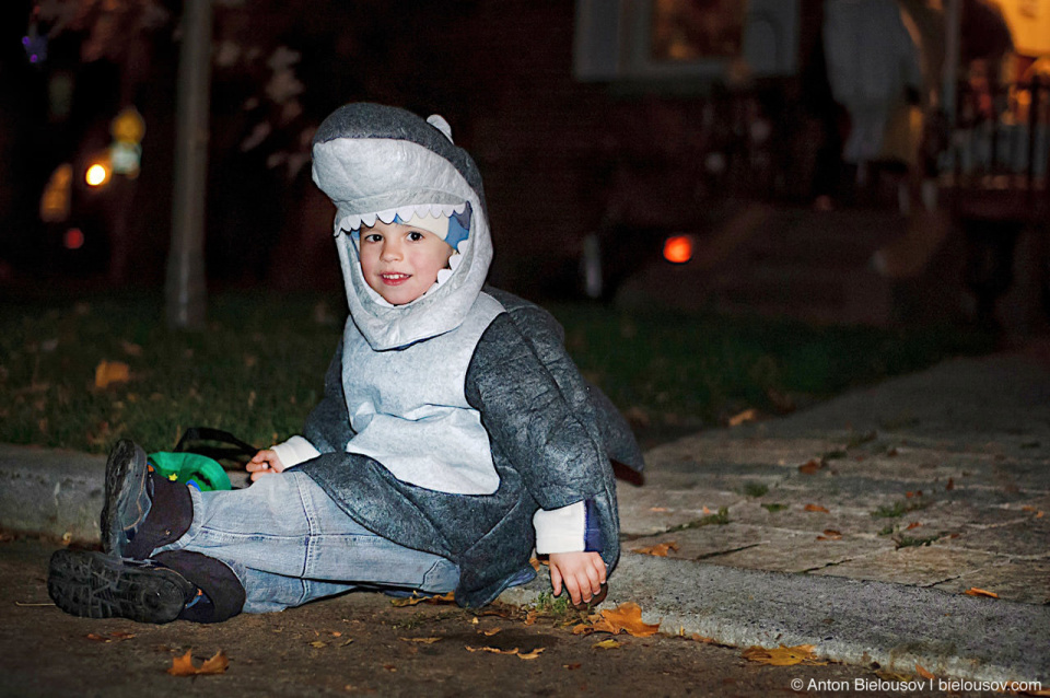 Halloween in Canada: Shark after Trick or Treat