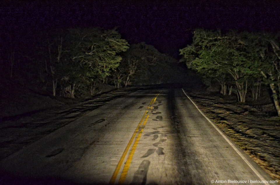 Cuban night road