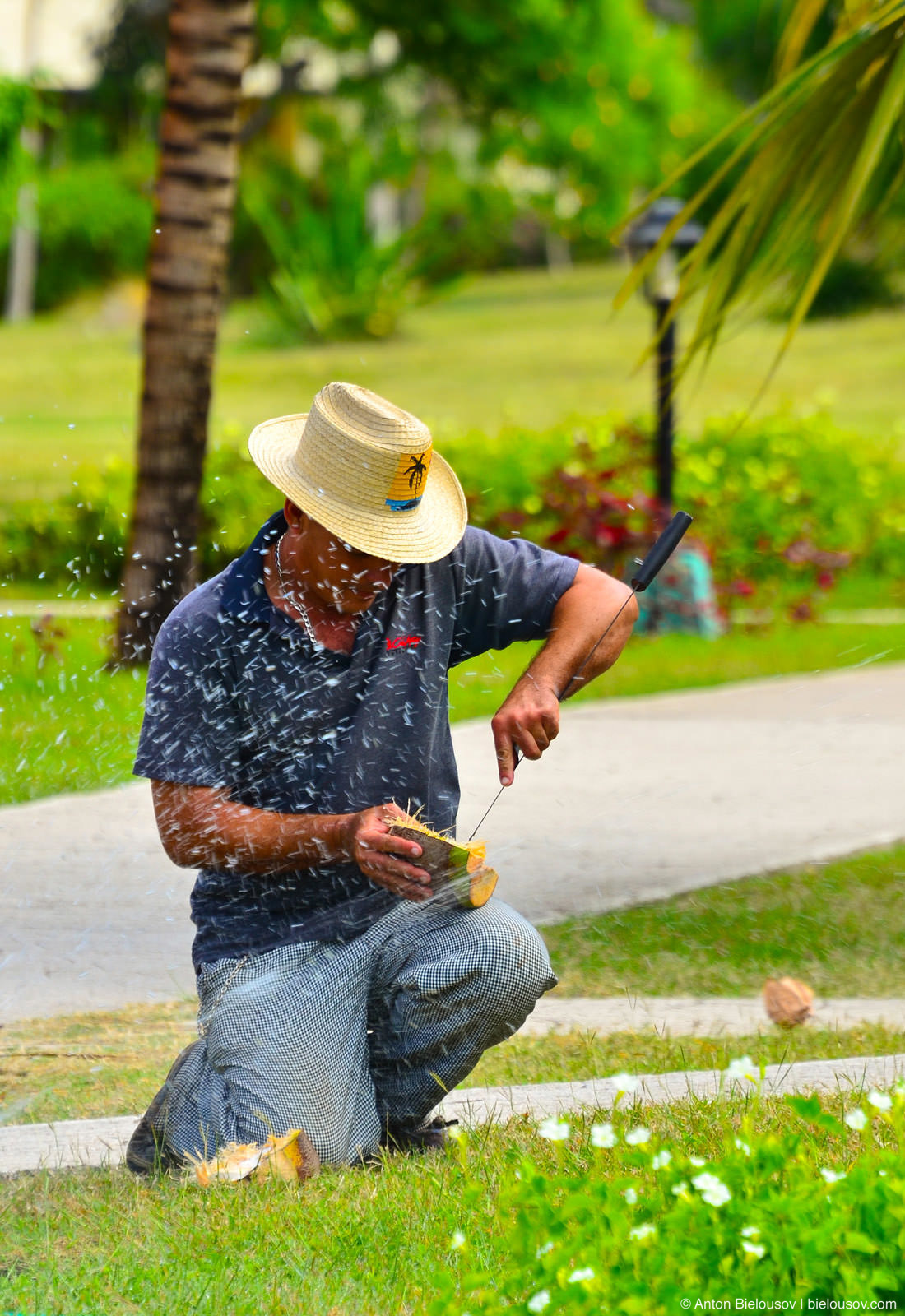 Cuban peels a coconut in Club Amigo Atlantico Guardalavaca hotel