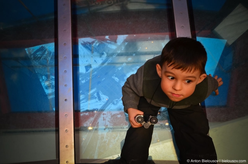 Scared Anton JR on CN Tower Glass Floor 