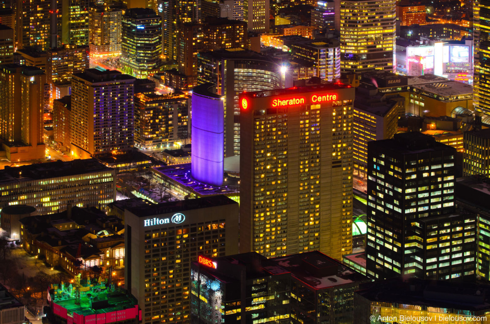 City Hall at night as seen from CN Tower