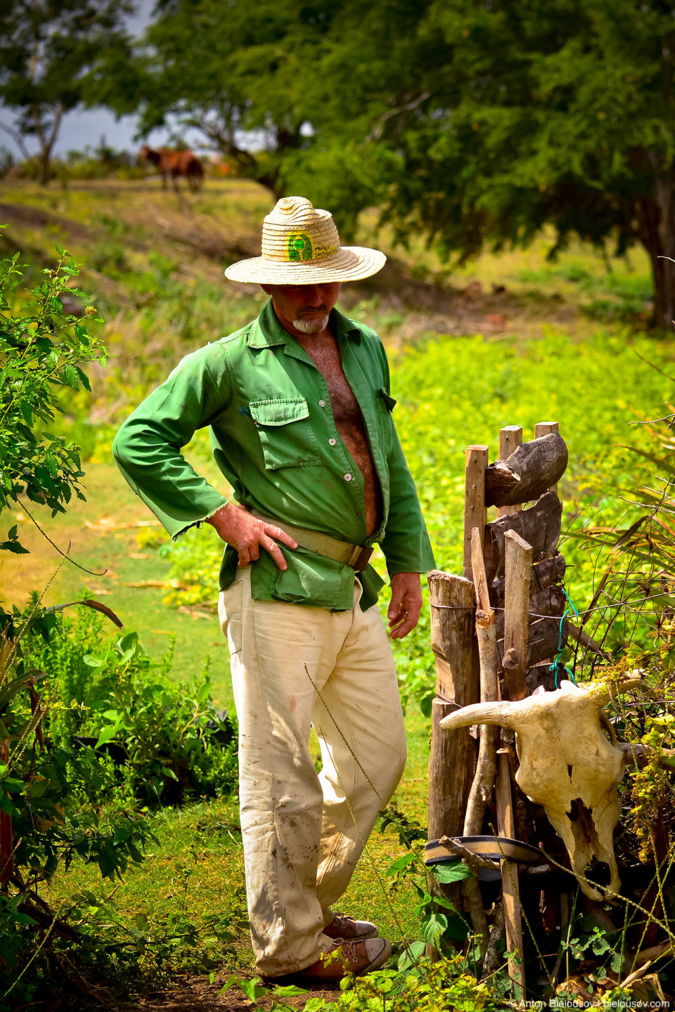 Cuban farmer