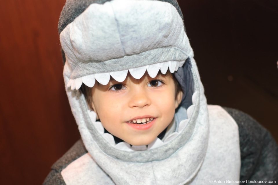 Halloween in Canada: shark costume