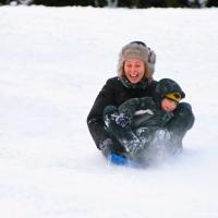 Sledging in High Park Sledging in High Park