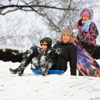 Sledging in High Park Sledging in High Park