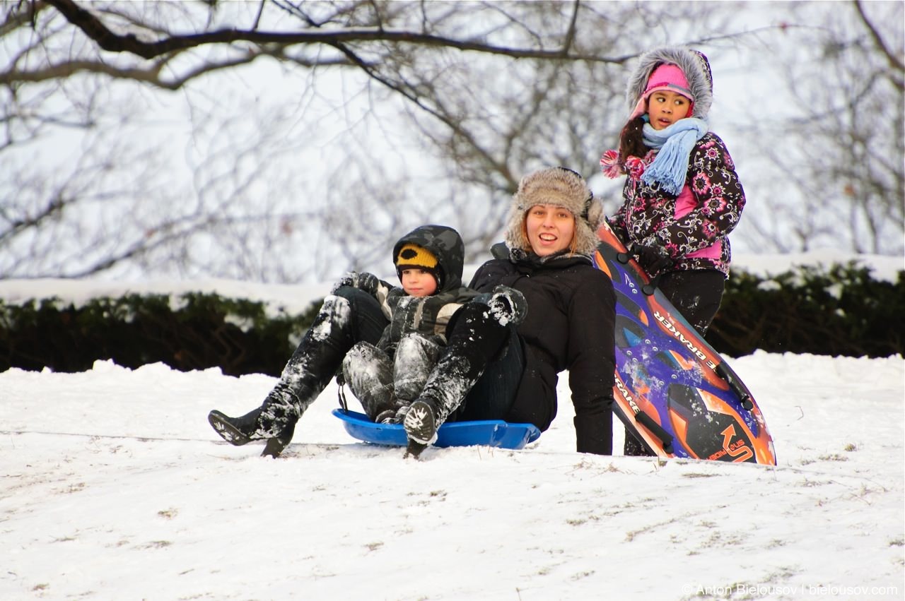 Sledging in High Park