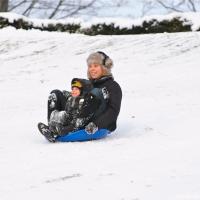Sledging in High Park Sledging in High Park