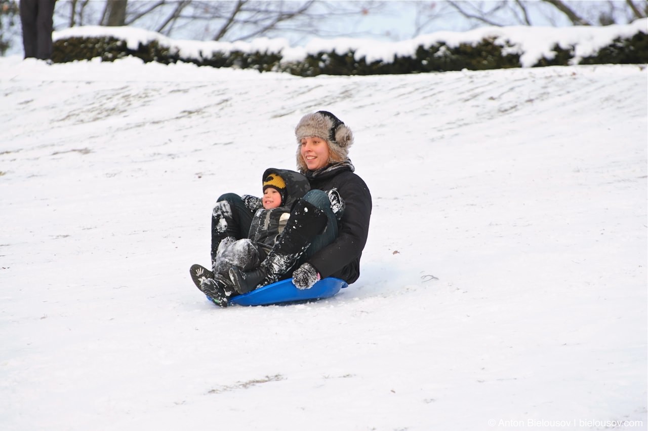 Sledging in High Park