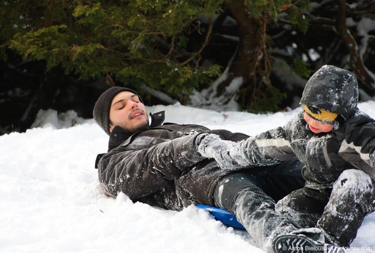 Sledging in High Park