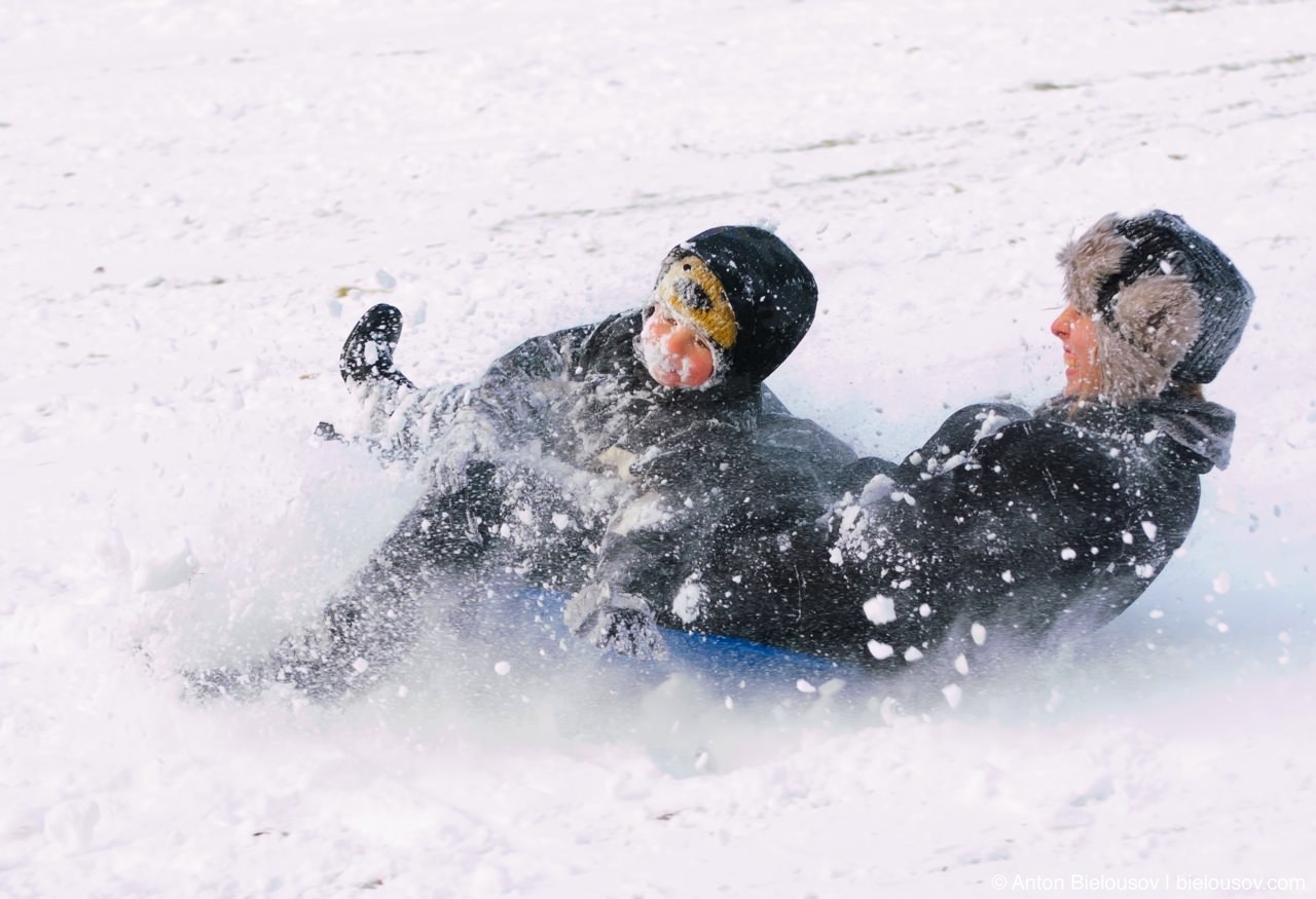 Sledging in High Park