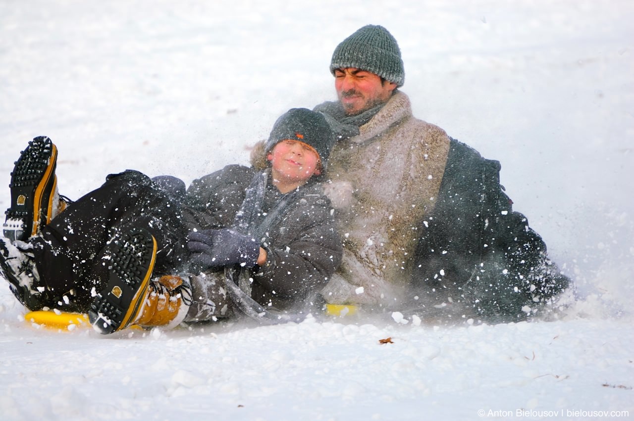 High Park Family Sledging