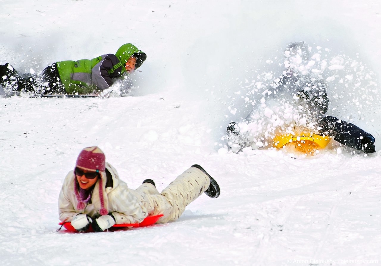 High Park Sledging collision