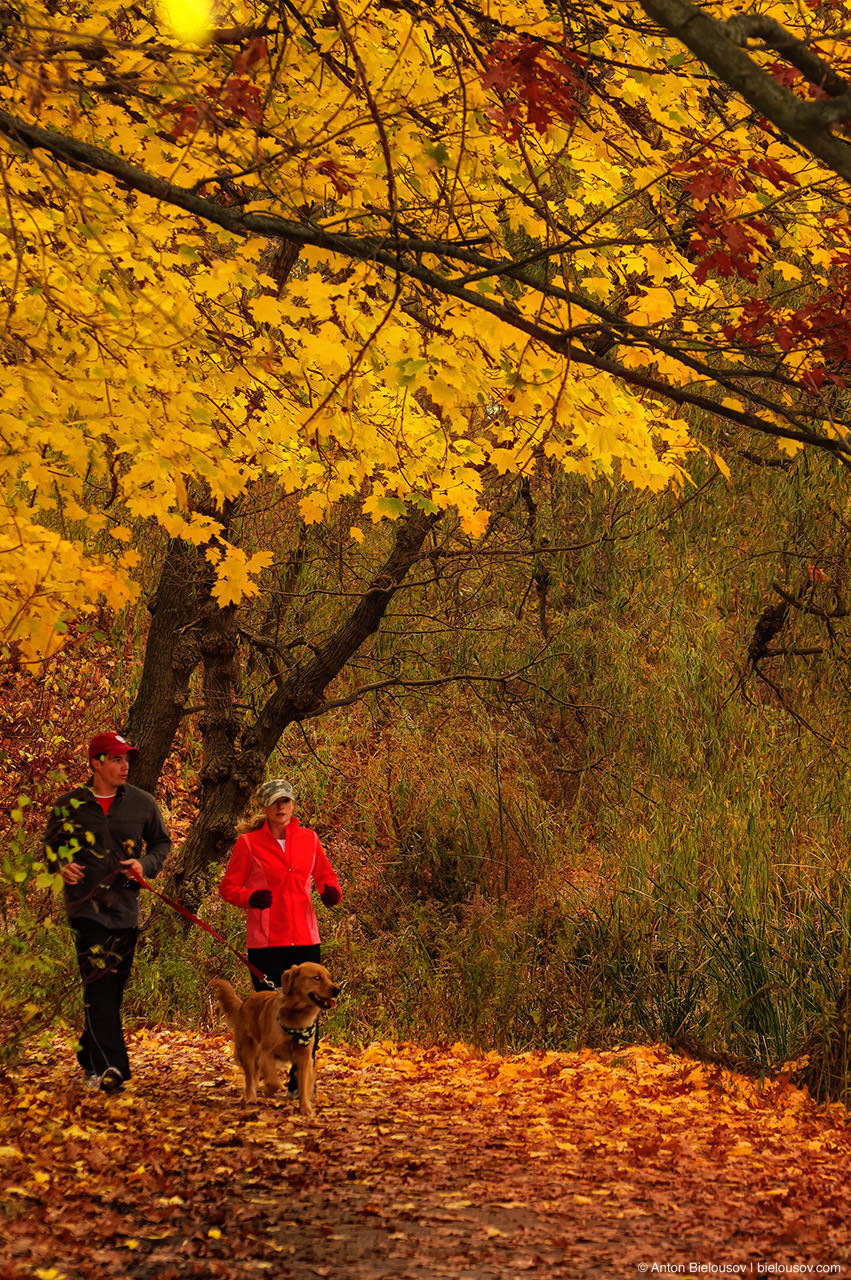 High Park Jogging in Autumn