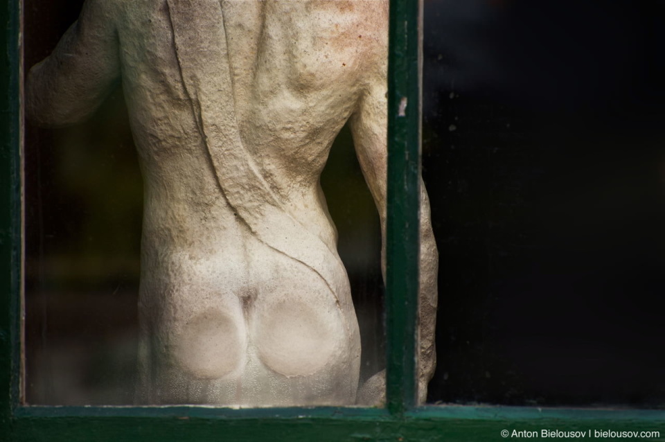 Old ass in Toronto Distillery District window