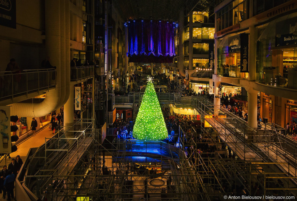 Swarovski Wish Tree Unveiling in Eaton's Centre (Toronto, ON 2010)