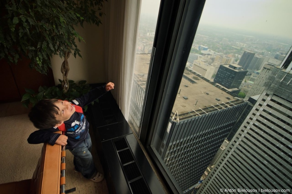 View from Toronto-Dominion Centre 54th floor