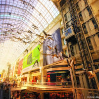 Flight Stop canadian geese installation (by Michael Snow) Toronto Eaton's Centre Flight Stop canadian geese installation (by Michael Snow) Toronto Eaton's Centre