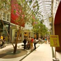 Trees Alley in Toronto Eaton's Centre Trees Alley in Toronto Eaton's Centre