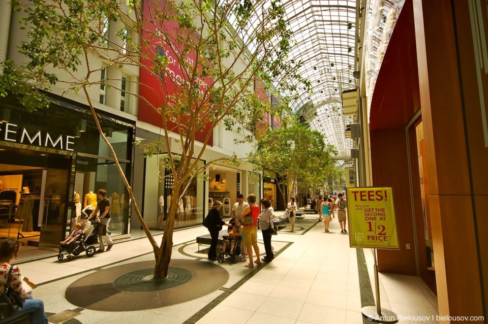 Trees Alley in Toronto Eaton's Centre