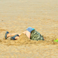 Anton JR Deep in Omaha Beach Sand Anton JR Deep in Omaha Beach Sand