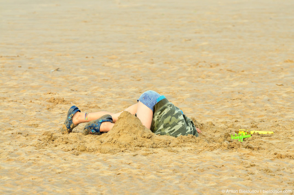 Anton JR Deep in Omaha Beach Sand