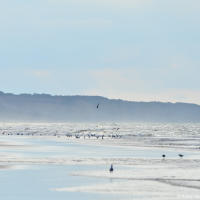 Omaha Beach View Omaha Beach View