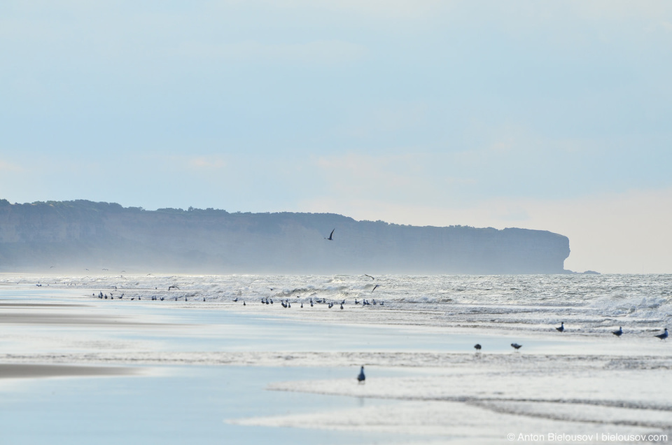 Omaha Beach View