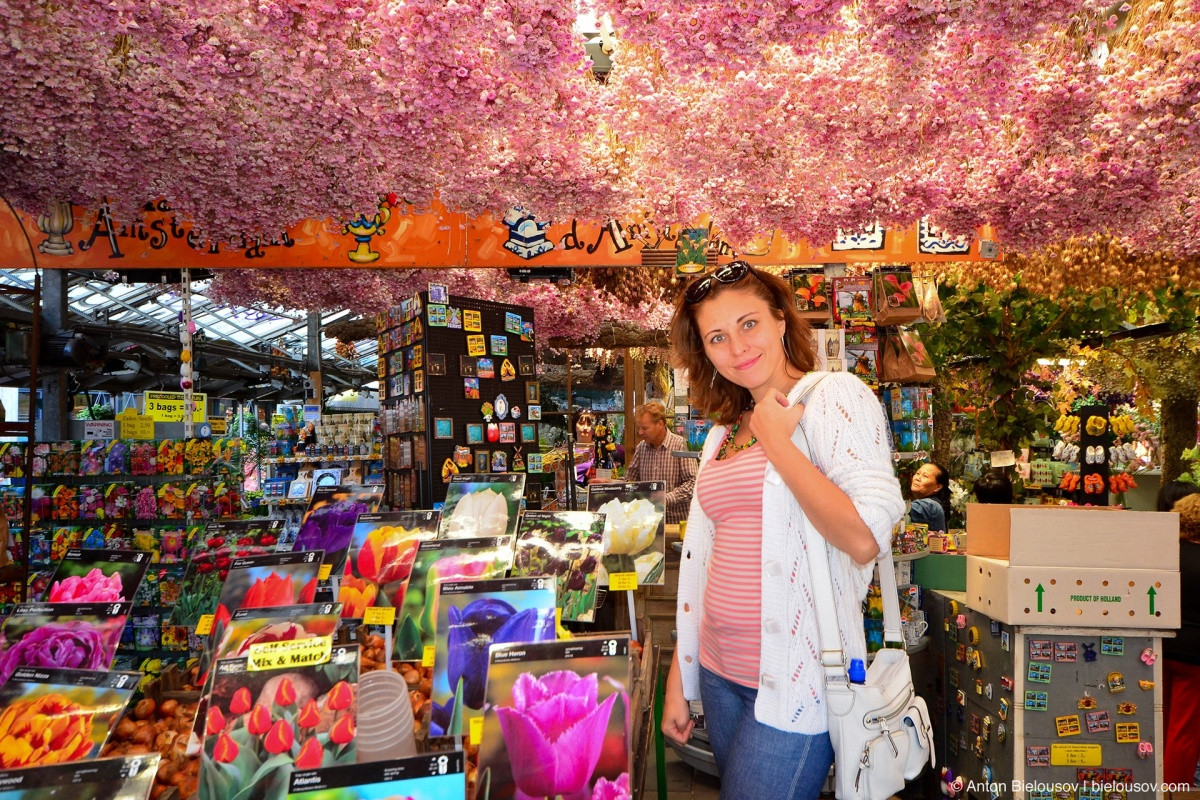 Путешествия: Нидерланды: amsterdam flowers market