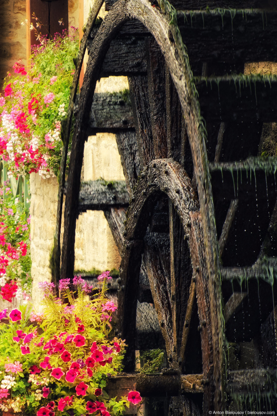 Bayeux Water Mill