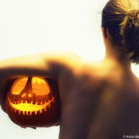 Halloween Halloween