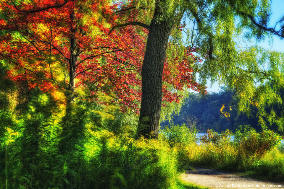 High Park Autumn HDR