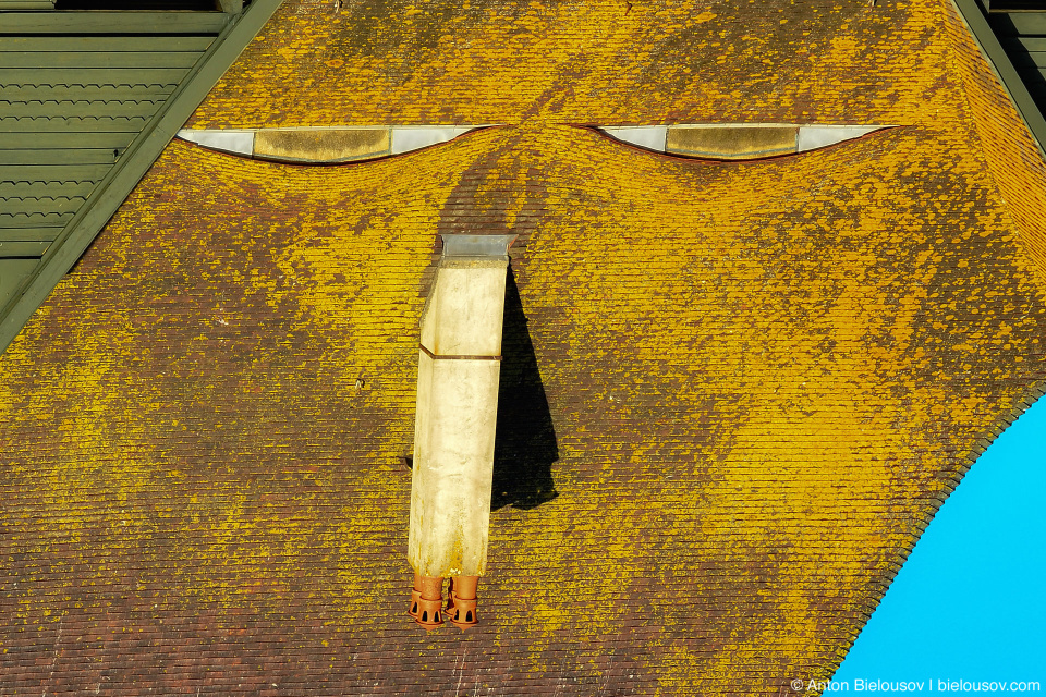 Smiling Roof