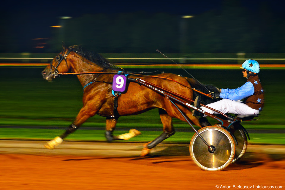 Night horse race Cabourg (Normandy, France)