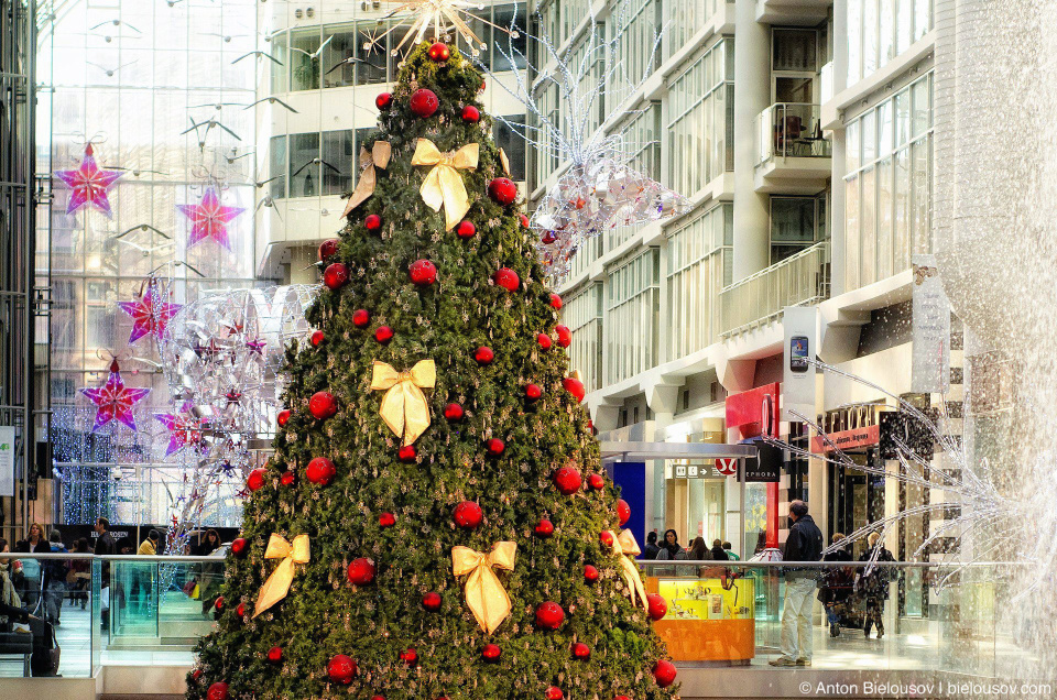 Swarovsk Crystal Wish Tree in Toronto Eaton's Centre (2011)