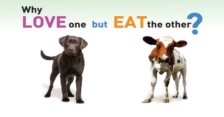 BeVEg: Why love one, but eat the other? BeVEg: Why love one, but eat the other?
