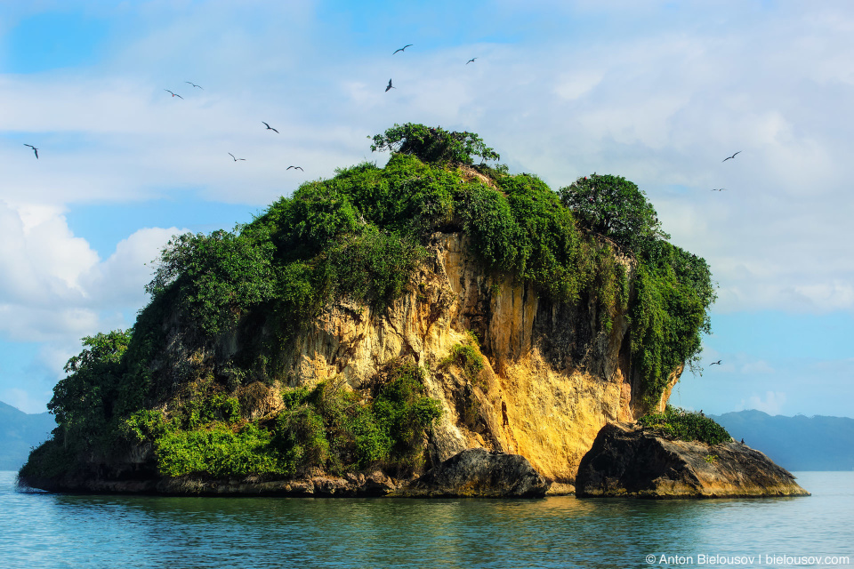 Dominican Republic — Los Haitises birds island