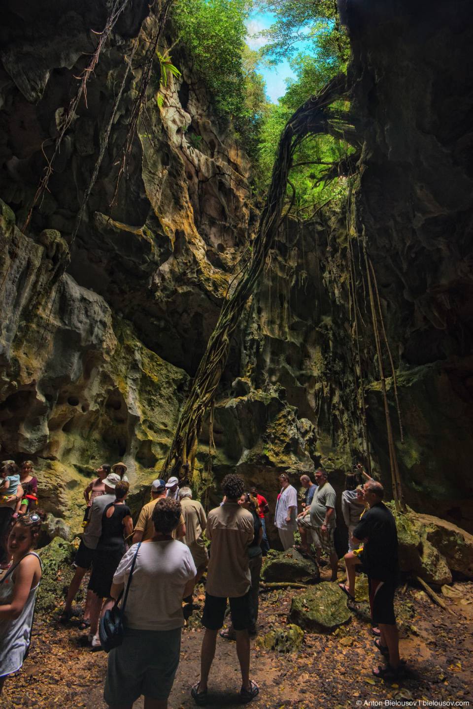 A hole in the cave where Survivor TV show episodes were shot (Los Haitises, Dominican Republic)