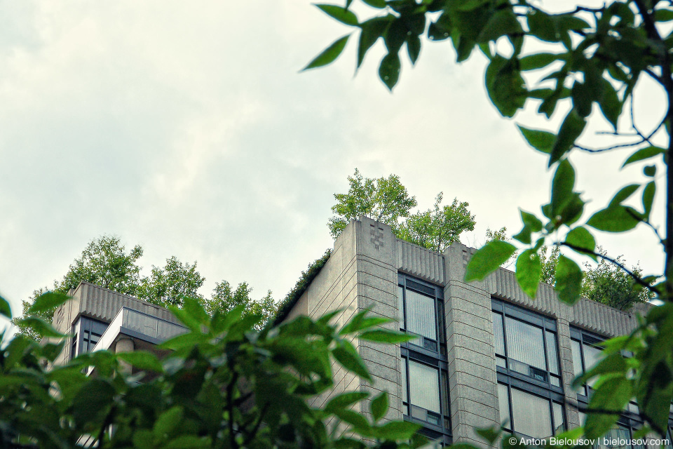 Toronto green roof