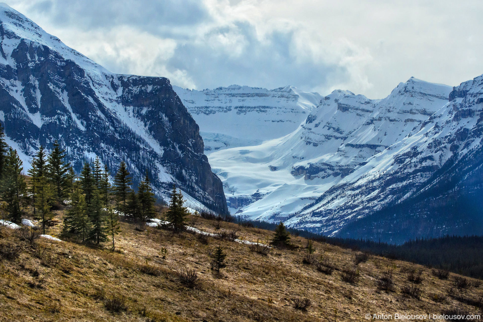 Banff National Park mountains snow tops