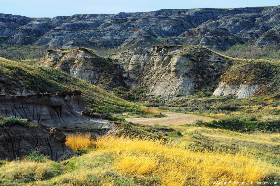 Dinosaur Provincial Parkv