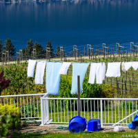 Okanagan lake wine country Okanagan lake wine country
