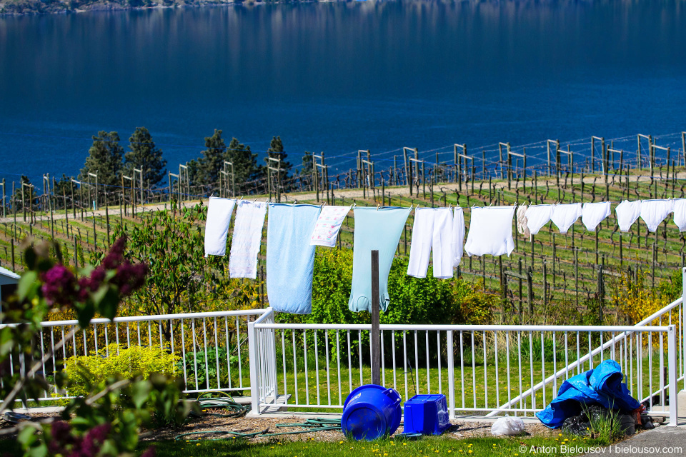 Okanagan lake wine country