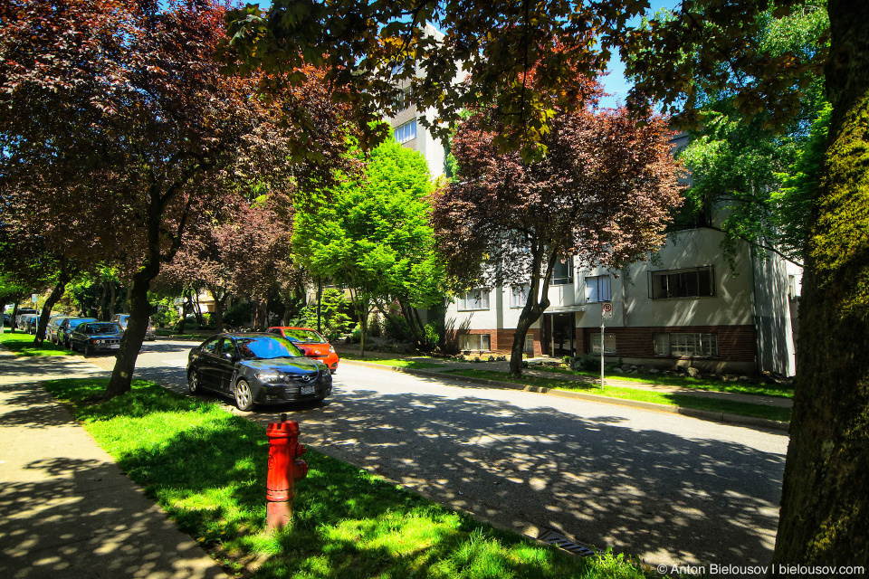 Shady street in vancouver downtown West End