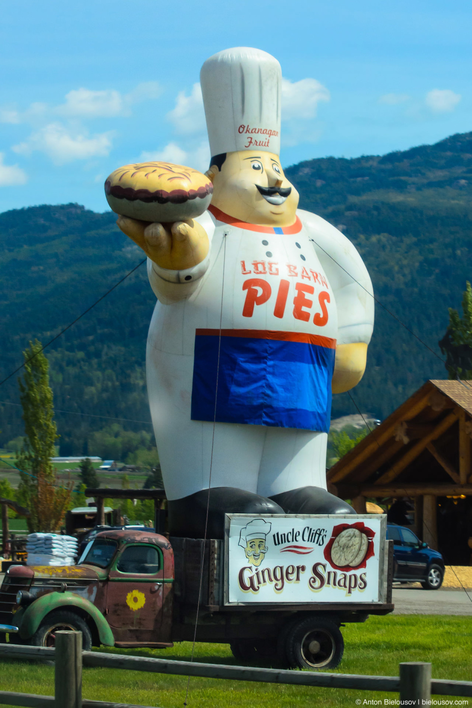 Uncle Cliff's biggest ginger pie on Trans-Canada Highway