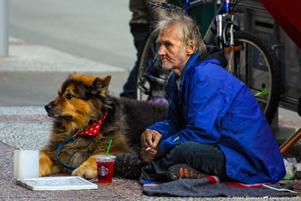 Vancouver smoking homeless with a dog